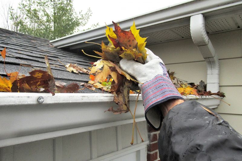Gutter Debris Removal