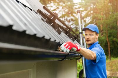 Debris-Free Gutters
